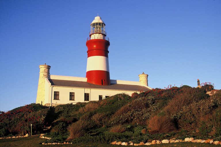 6-Day Garden Route & Addo Group Adventure